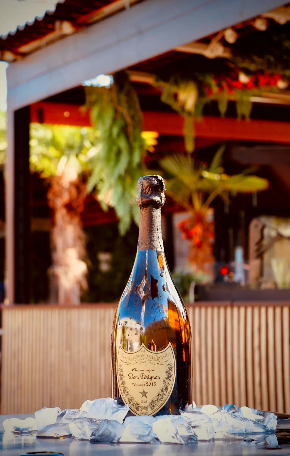 Dom Pérignon nel secchiello del ghiaccio, con le palme del dehor sullo sfondo